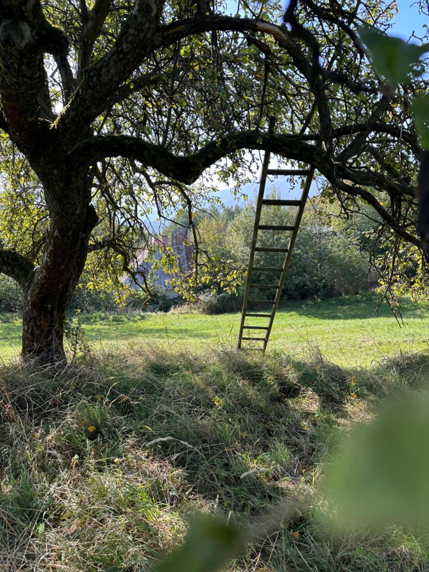 Nadherne Misto Pro Vas Relax V Prirode Uherske Hradiste Bagian luar foto